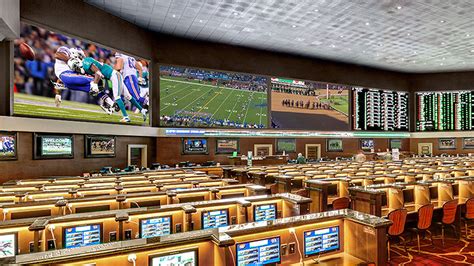 RACE AND SPORTS BOOK REVIEW .